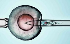 海口没有结婚证无法进行试管的原因分析及法律法规