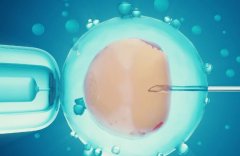 人工授精的原理,人工授精的优势和注意事项