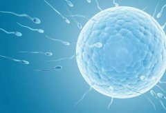 海口未婚可以做试管的医院介绍及法律规定