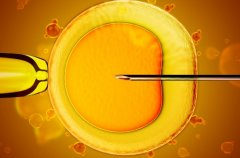 济南做试管最好的医院推荐及试管技术解析