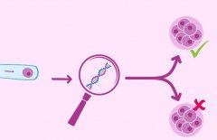武汉试管技术怎么样？武汉协和医院试管技术分析