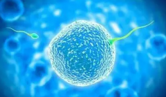 揭秘拉萨试管性别选择：如何科学迎接“小王子”？