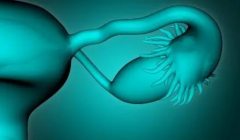 试管医院转换全解析：重新检查，必要还是多余？