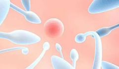 人工授精与试管：揭开生命起源的神秘面纱