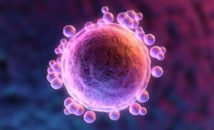 提升试管成功率，这些方法你必须掌握！