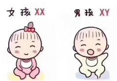 高血糖孕妇晚餐攻略：一天六餐科学食谱，健康控糖！