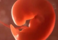 三代试管医院独家揭秘：仅两家医院掌握技术，费用明细一揽子解析