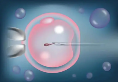 上海试管成功率TOP10私人医院大揭秘，详细解析让你一目了然！