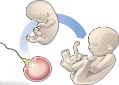玉林试管就去妇幼保健院，揭秘这家医院的技术优势！