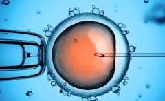 人工试管费用包含的项目介绍及费用分析