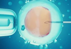 马来西亚哪些试管医院比较好？试管的费用构成