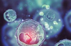 二代试管的价格差异，如何控制二代试管的费用？