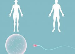 试管技术不适用的人群介绍,哪些年龄段的女性不能做试管？