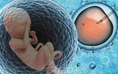 什么是试管技术？十天不排的精子做试管的原因分析