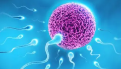 三代试管全周期耗时揭秘：成败关键影响时间长度