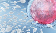 试管全攻略：详细流程时间表+不可忽视的注意事项