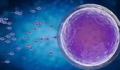 试管新趋势：灵活治疗，无需医院“常驻”