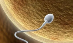 三代试管：科技进步带来的生育革命