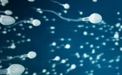 36岁试管，晚不晚？全面解析年龄与成功率！