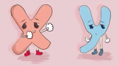 人工受孕：生男生女比例是否与自然受孕相同？