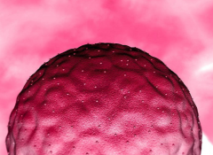 试管导管长度之谜：为何不宜过长，主要原因解析！