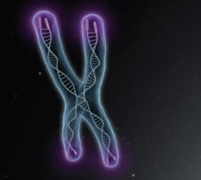 AMH值0.34也能圆梦：试管助孕与科学调理，助您成功怀孕！