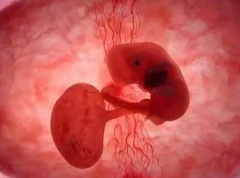 上海试管医院全解析：优劣势一目了然，助您明智选择！