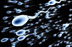 第二代试管遗传缺陷风险解析：原因与避免策略全攻略！