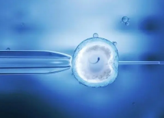 试管适合谁?流程详解及移植风险、成功率全知道