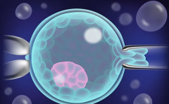 揭秘新加坡试管热潮！看这里，了解新加坡试管技术的独特魅力！