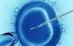 淮北三代试管的不同之处及成功率概况