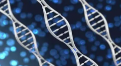 从希望到成功：乌克兰试管医院一站式指南