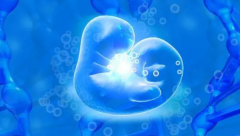 <b>省钱还是省心？合肥试管一代、二代、三代费用对比</b>