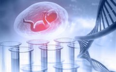 9号染色体三体之谜：揭秘胎停背后的科学原因！
