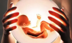 试管最晚着床时间揭秘：精准时间线全面解析