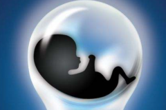 试管准生证全攻略：申请流程、法律规定深度解析