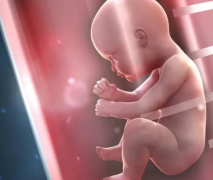 三代试管：为何选择？背后原因与需求全解析！