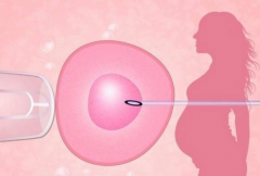 三代试管取卵检验全攻略：适用人群与具体过程一览！