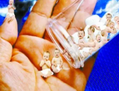 三倍体生育：试管是唯一选择吗？