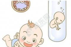 Y染色体微缺失：试管可行吗？方法与风险全解析！