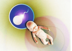 Y染色体微缺失做试管的成功率与影响原因