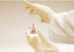 FSH值高24：试管可行性探讨及理由解析