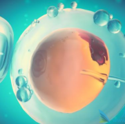 <b>试管移植失败探因：子宫内膜不达标，主要障碍待攻克！</b>