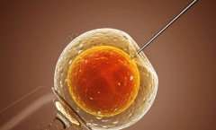 天津医科大学总医院试管技术的优势解析