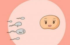 试管需要请假的时间介绍，试管术后的注意事项