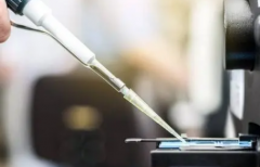 试管麻醉全攻略：原因、利弊与术后护理！