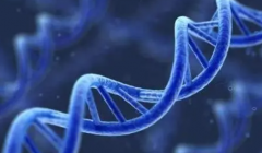 试管进入周期后需要做的关键步骤及准备工作，你都知道吗？