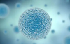 圆梦路上不再遥远，浙江试管成功率高的六大推动力