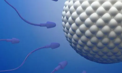 <b>试管降调期，这些身体反应你中招了吗？</b>