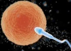 俄罗斯试管之旅：一站式解决方案还是未知冒险？